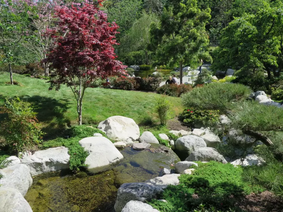 Stream with clear water. 