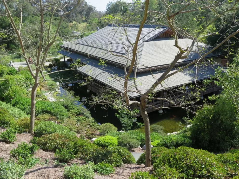 The pavilion with koi pond. 