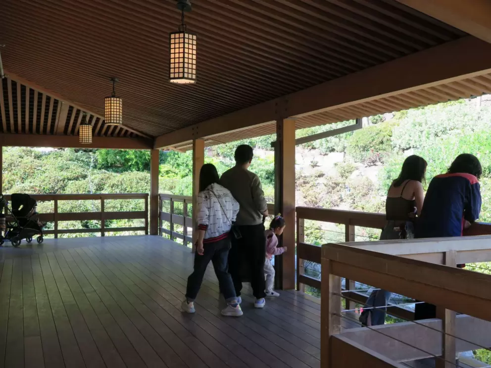 Checking out the koi pond from the veranda of the pavilion. 