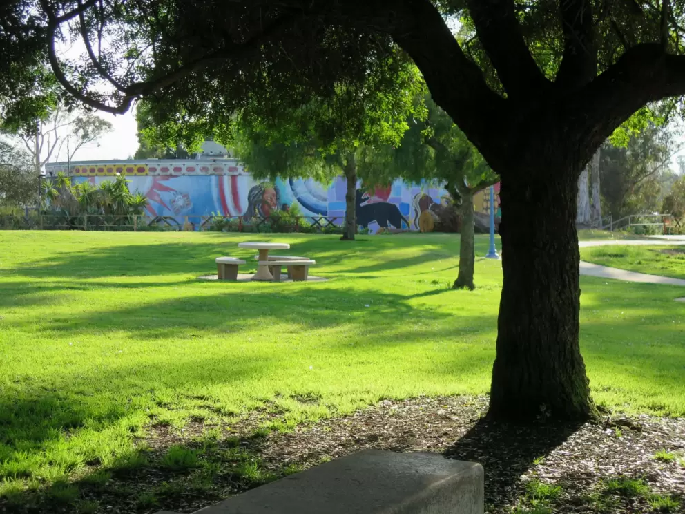 Green grass by the playground. 