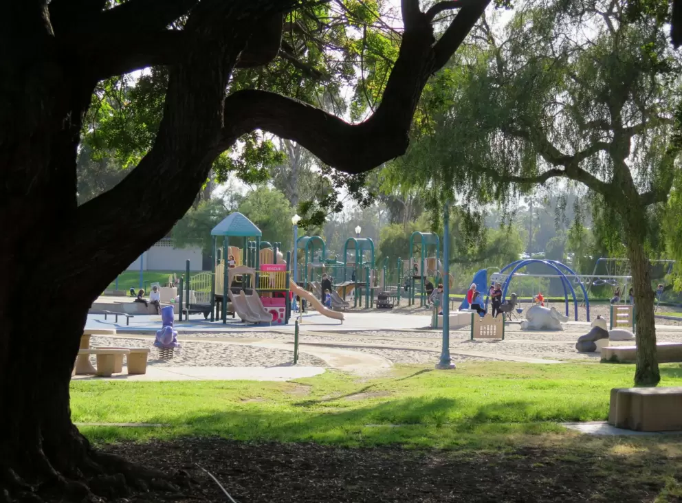 The playground. 