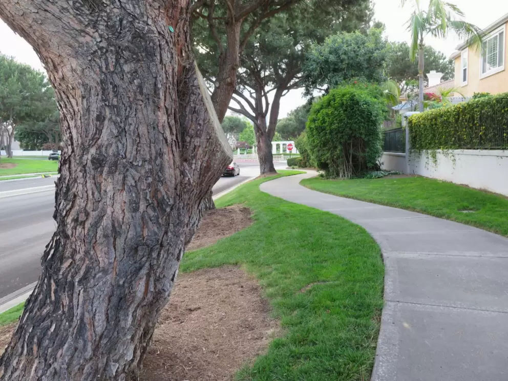 Extending the walk by taking the sidewalk past apartment buildings. 