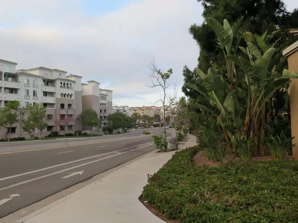 Banana trees and sterile-looking buildings. 