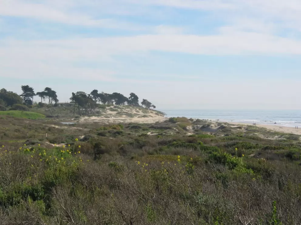 Beautiful Ellwood Beach, as viewed from the bluffs.