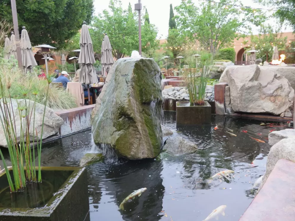 Koi pond at Stone Brewing. 