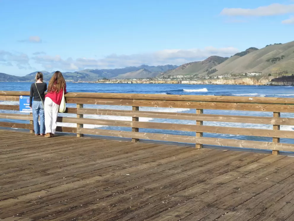 Girls watching the waves during a surf contest. 