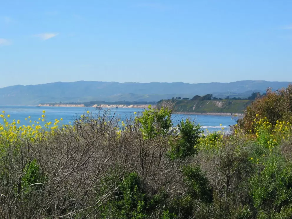 View of Ellwood Beach.