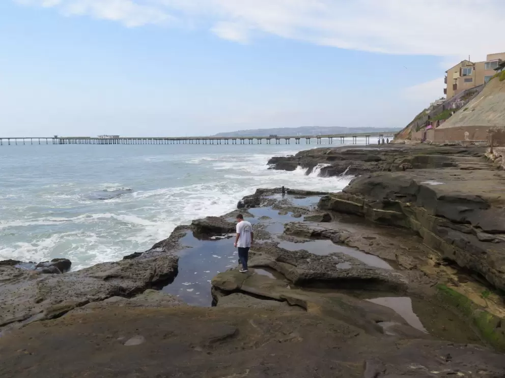 Checking out the Ocean Beach tide pools. 