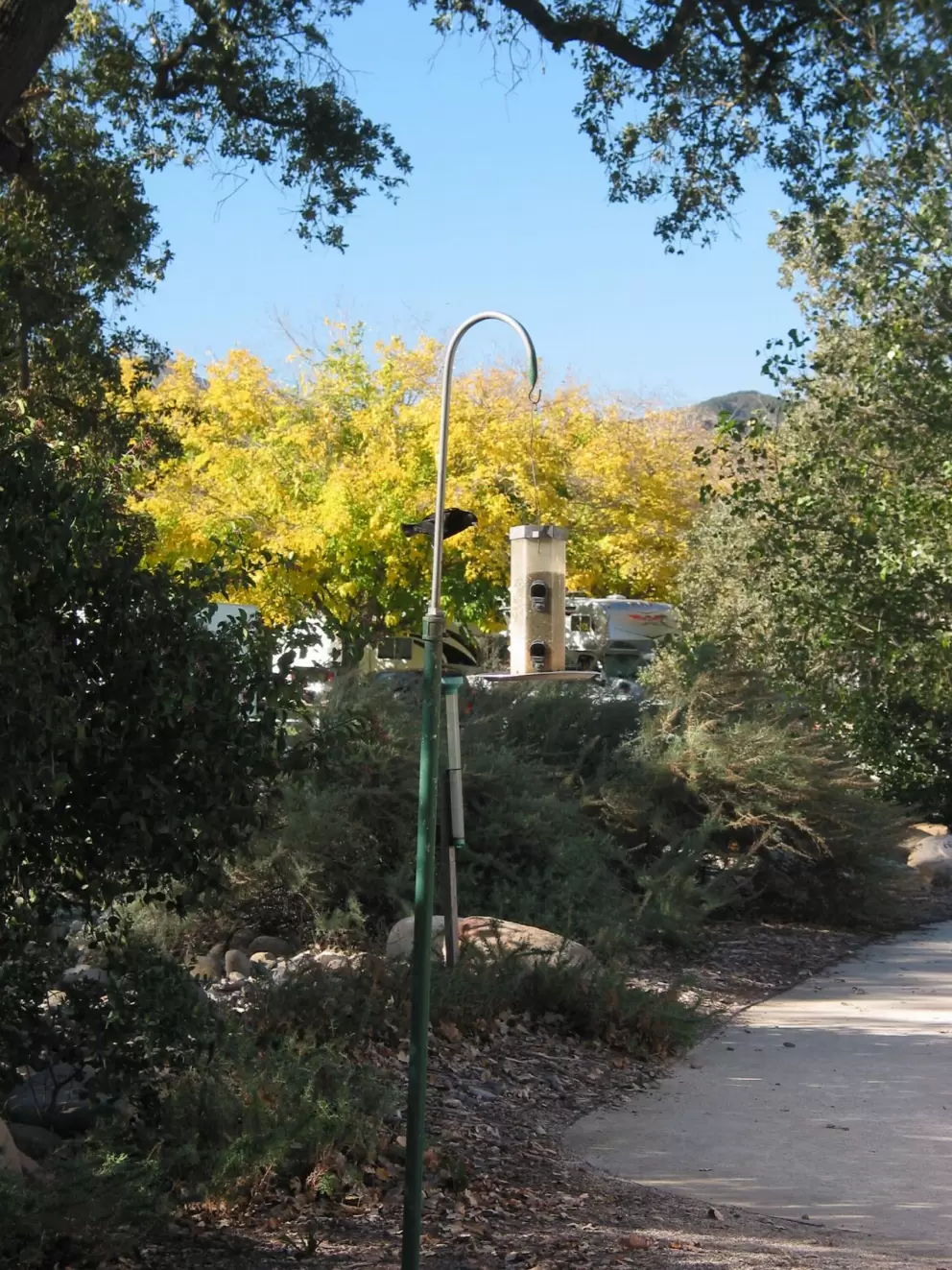 Bird feeders behind the Nature Center.
