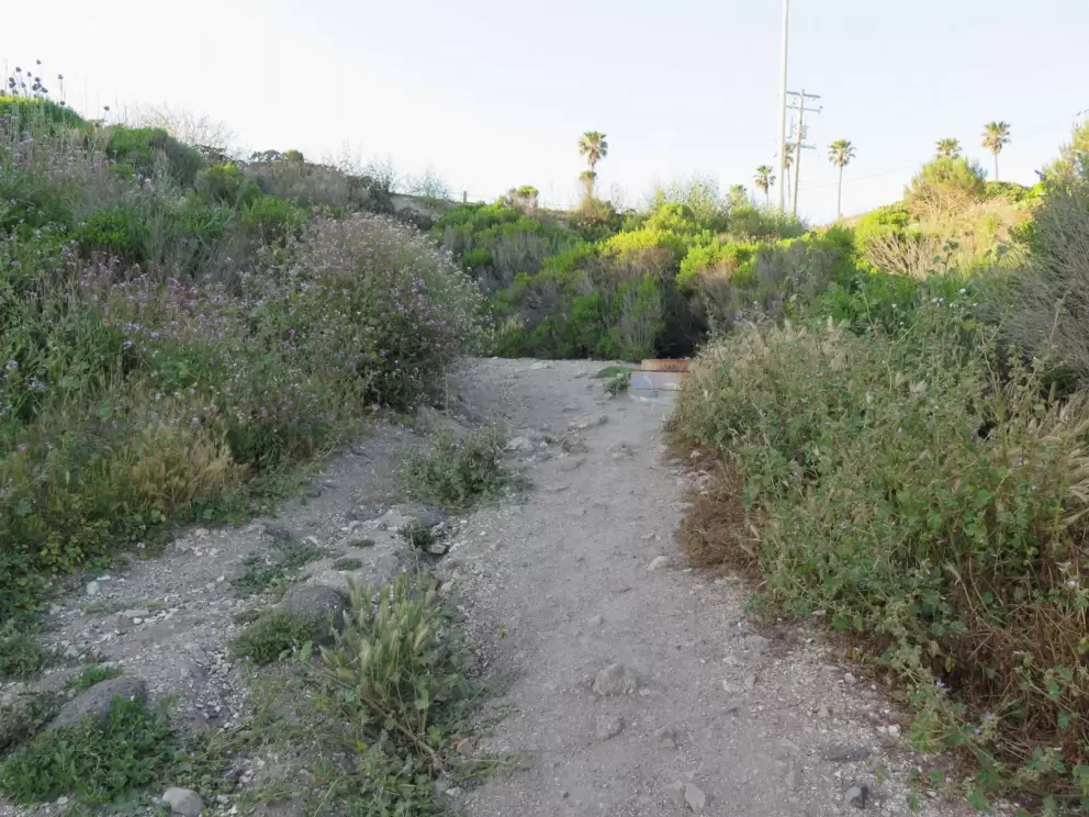 The dirt path. 