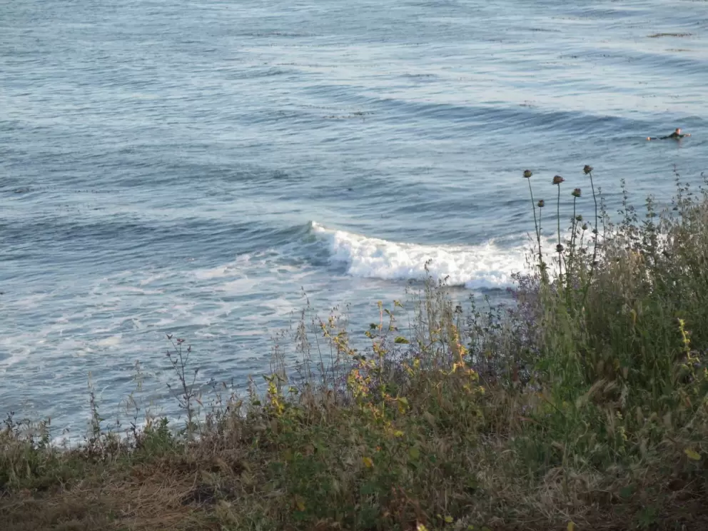 A surfer paddles out. 