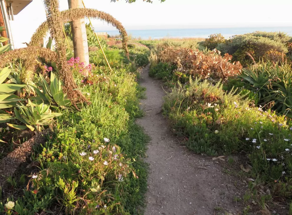 The path along the cliffs. 