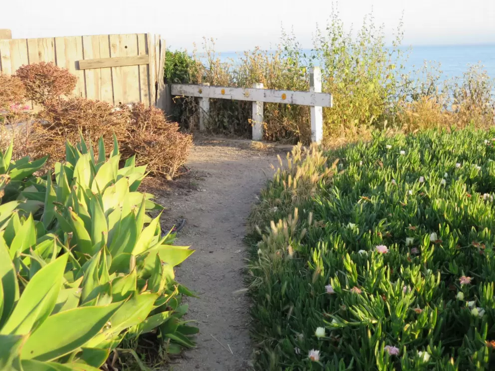 The end of the path. 