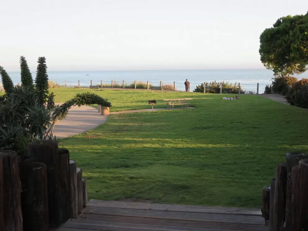 The lawn. 
