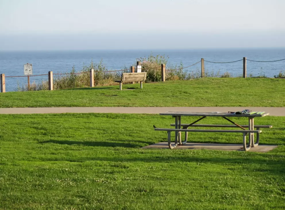 Bench and picnic table with views of the sea. 