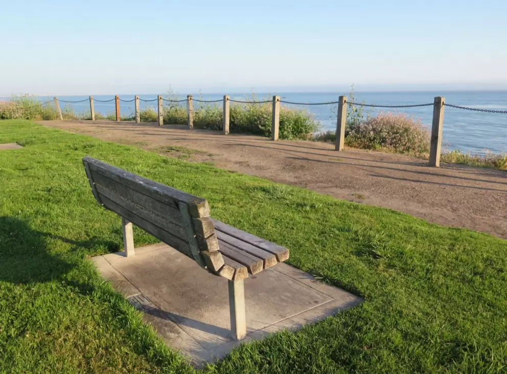 Bench and path. 