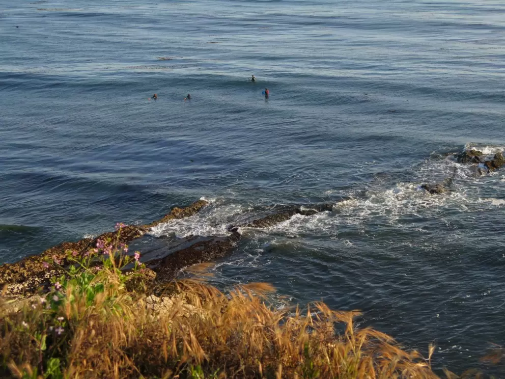 Surfers wait in the water below. 