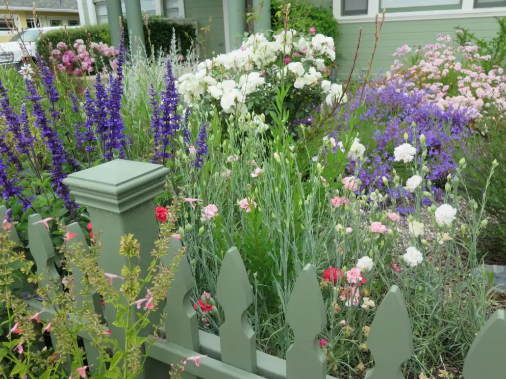 Green fence and flowers!