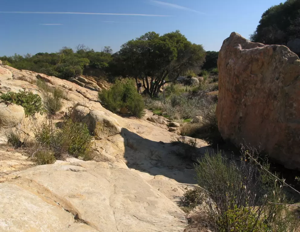 Looking back on the beginning of the trail- memorize this so you can find it!