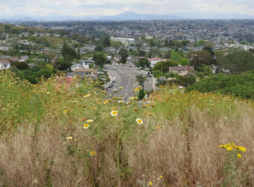 View of mountain in the distance. 