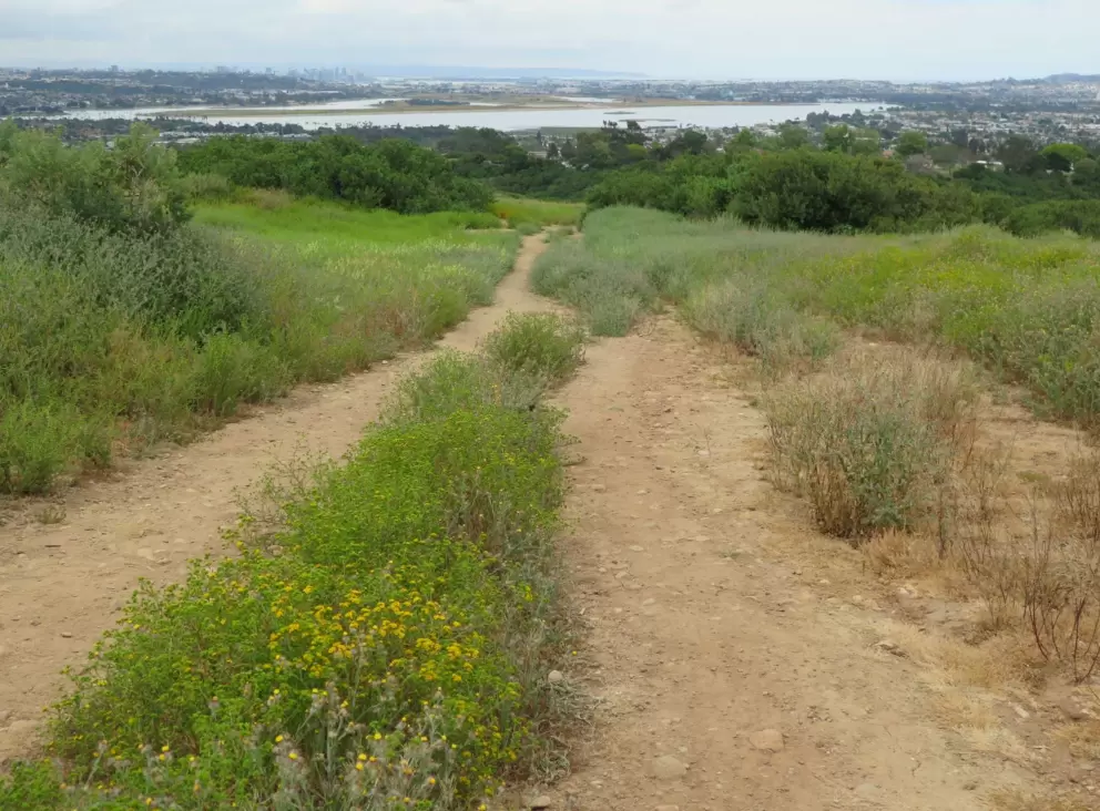 The path and Mission Bay below. 