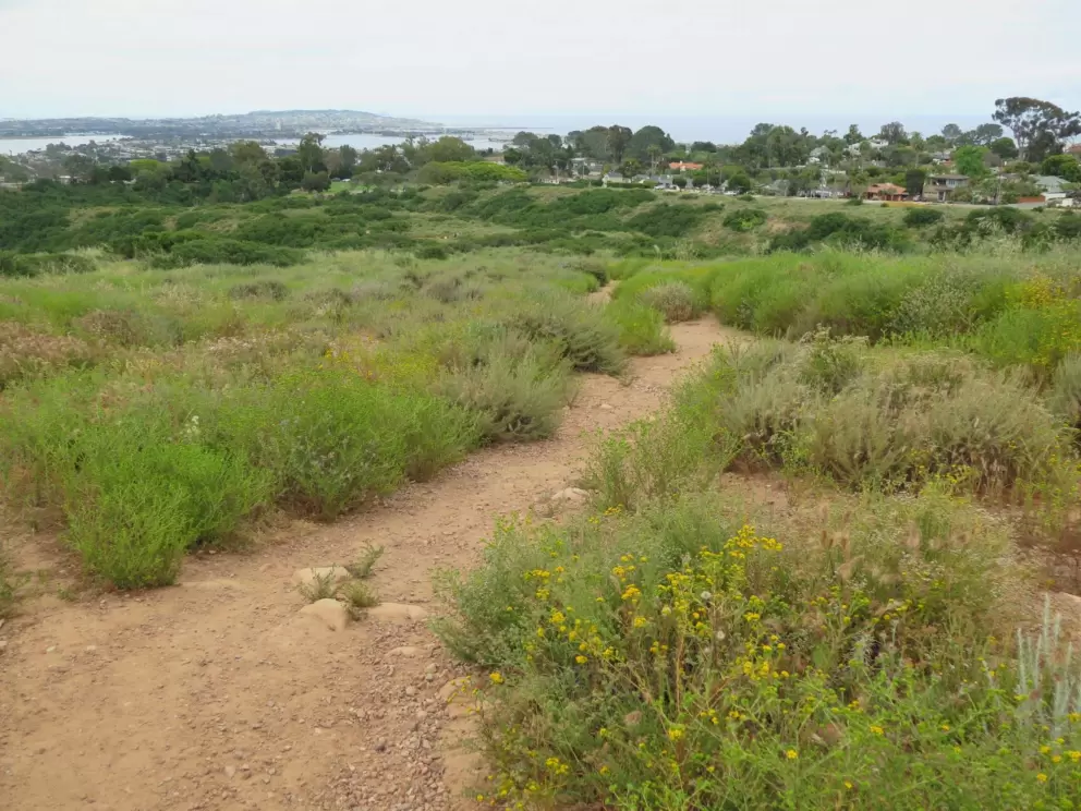 There are a few paths to choose from.