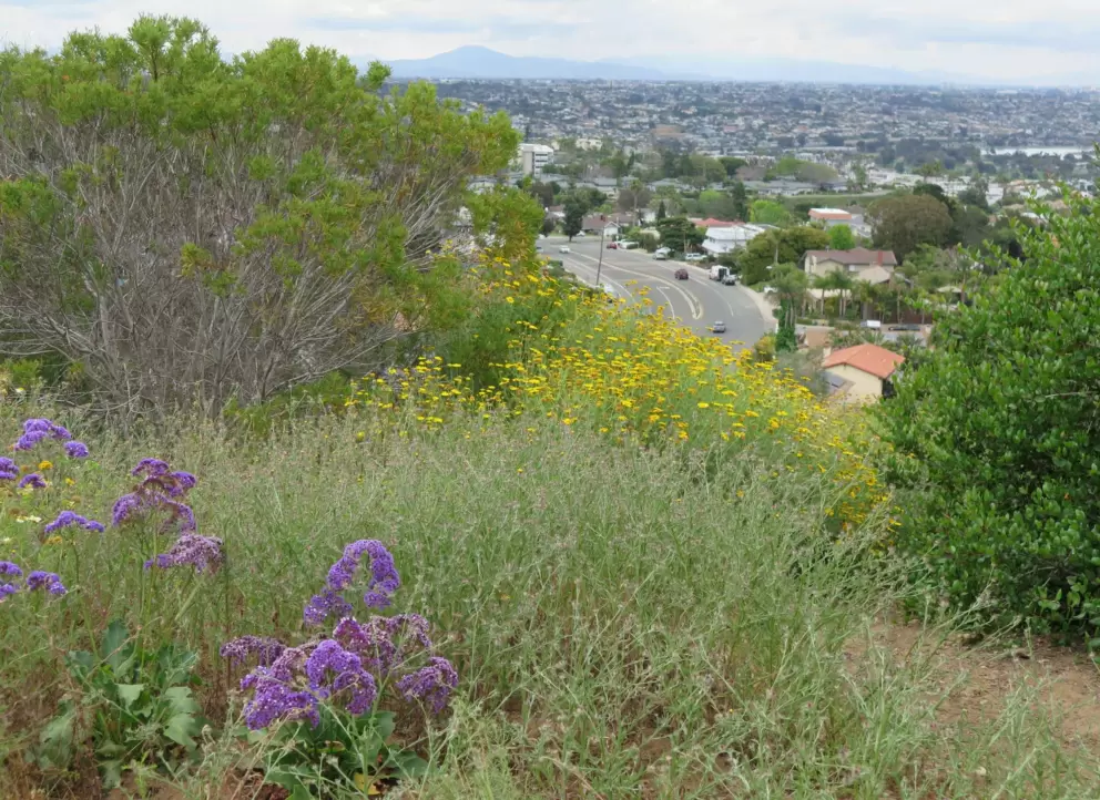 View of Soledad Mountain Road. 