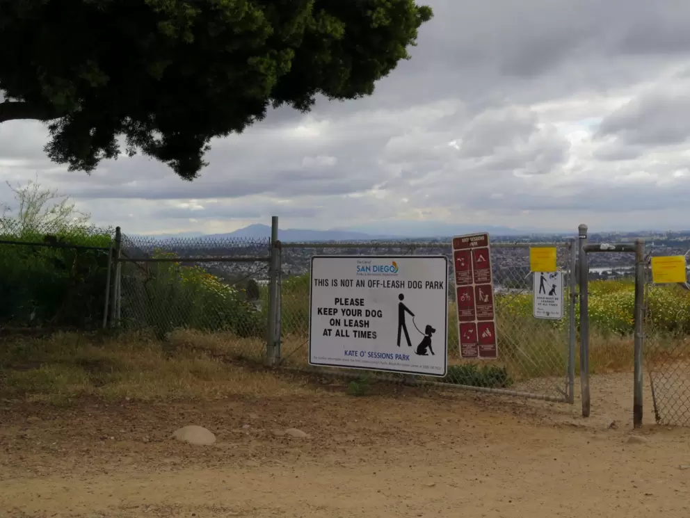 What the entrance gate looks like. 