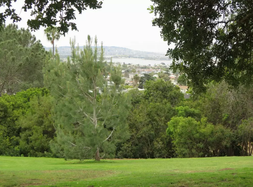 Looking out across the park. 