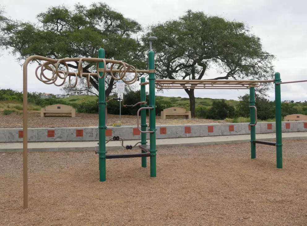 Monkey bars are fun!