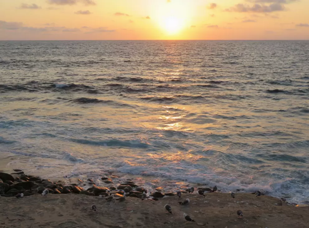 Sunset over the foamy water. 