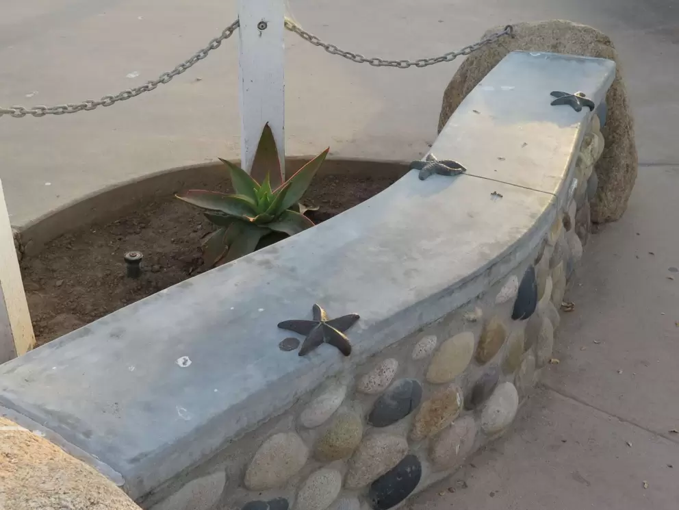 Metal sea stars on the wall. 