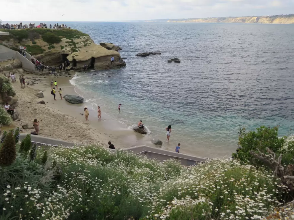 Swimming at the cove. 