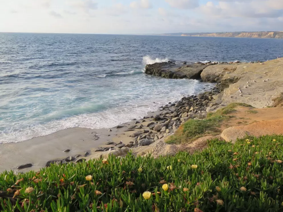 Waves splash over rocks, and ice plant in the foreground. 