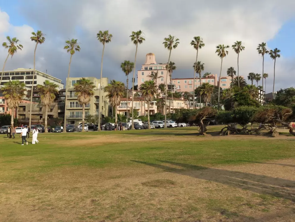 The huge lawn of Scripps Park. 