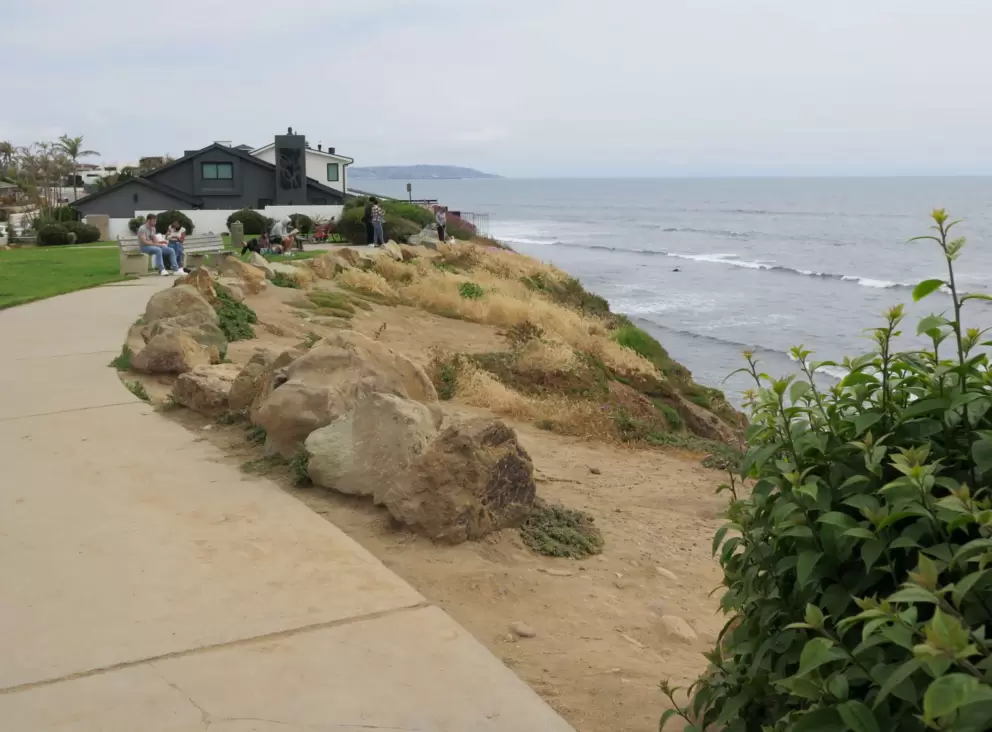 The path in the park. 