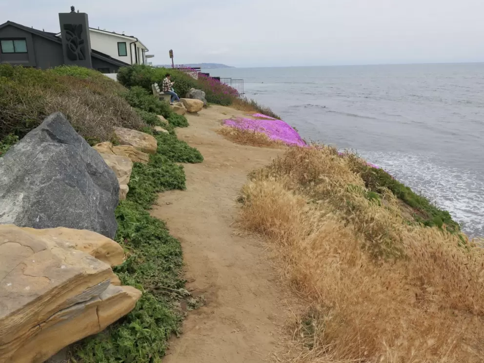 Trail along the cliffs. 