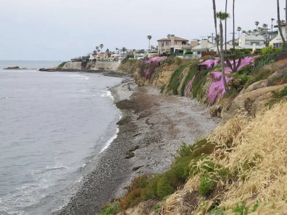The colorful cliffs and rocky beach below. 