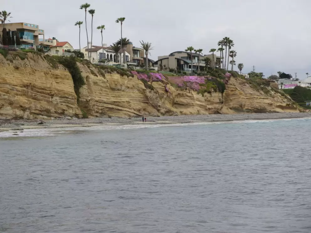 Cliffs with ice plant in the distance. 