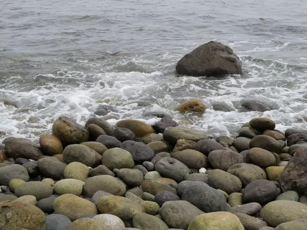 The pebbly beach. 