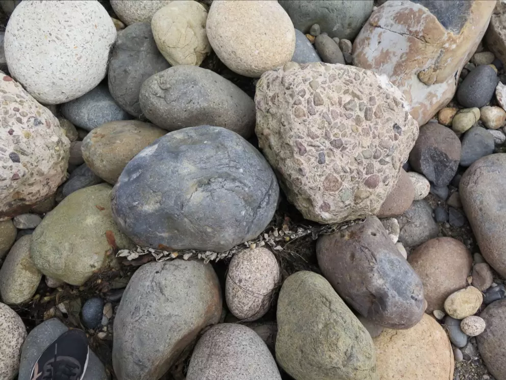 The giant pebbles are varied and pretty.