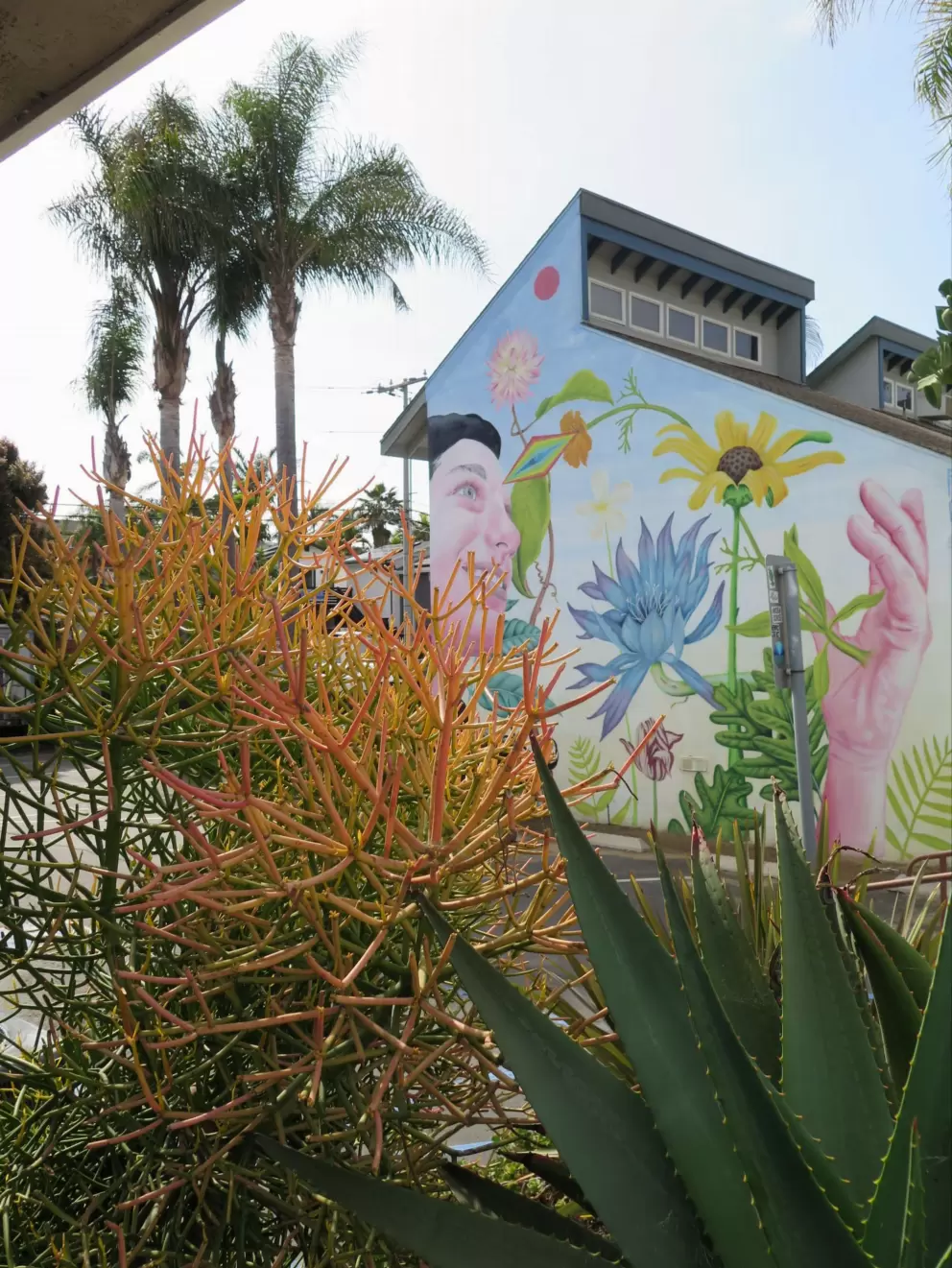Another colorful mural with flowers. 