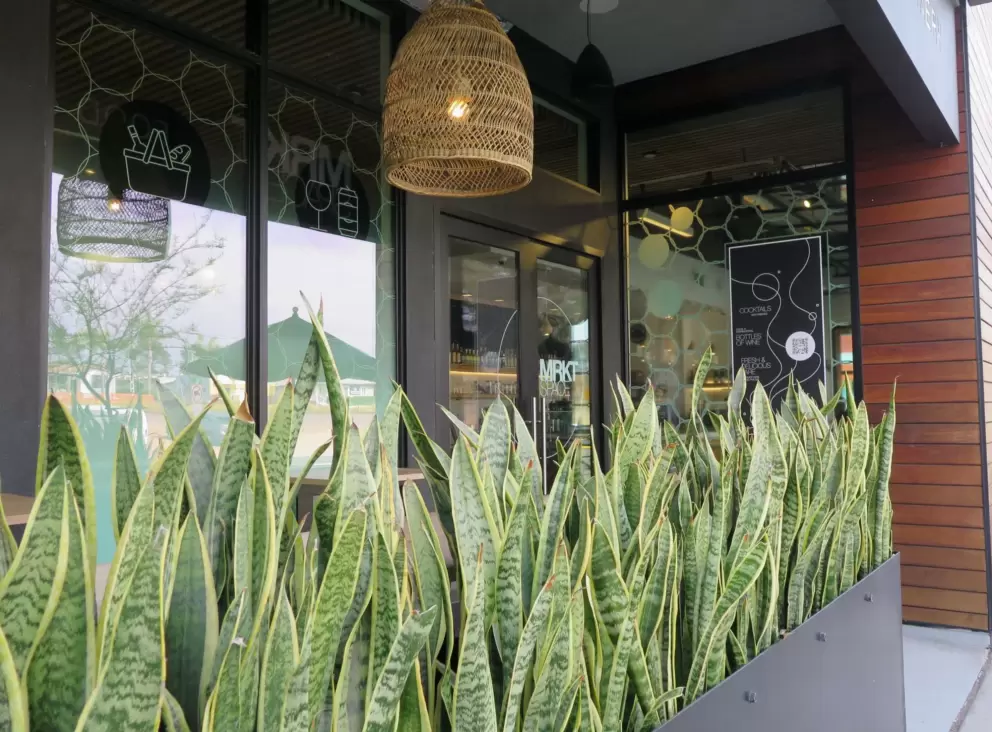 A cafe with planter and modern wicker lantern.