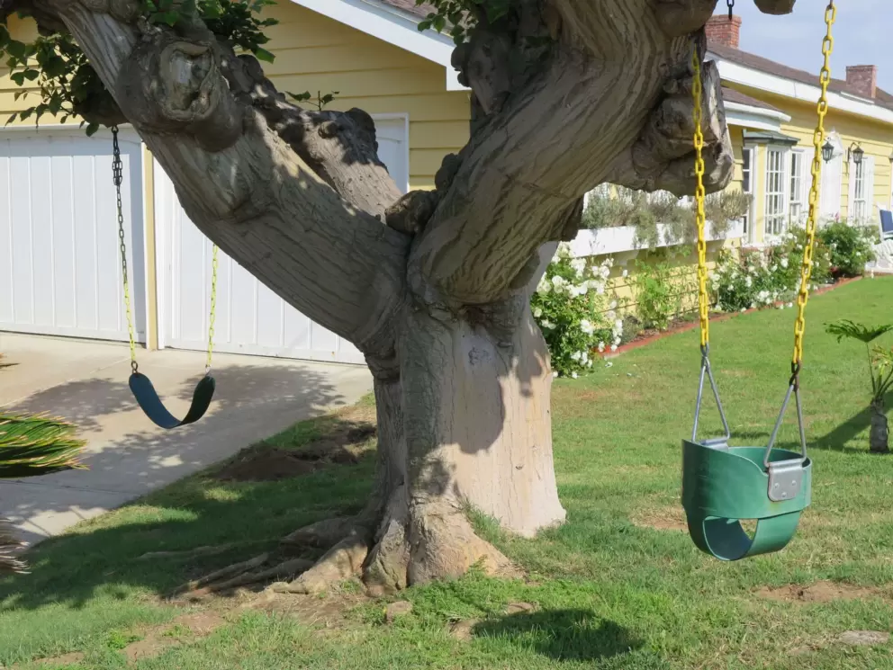 Swings in a yard, on the walk to the beach. 