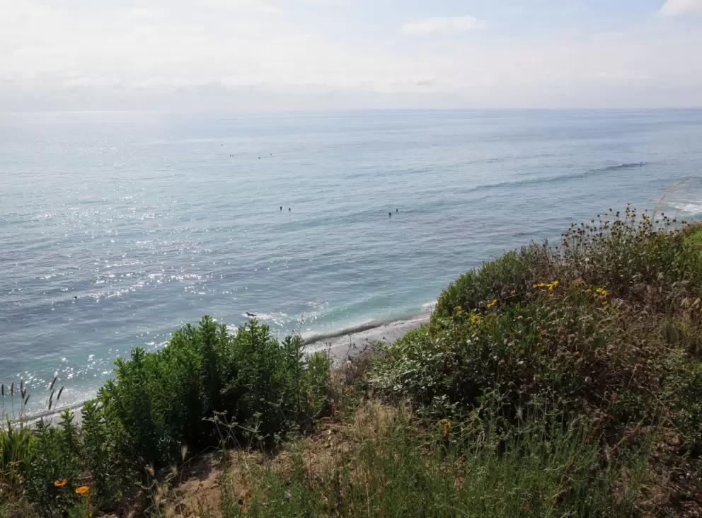 You have arrived at the sea!