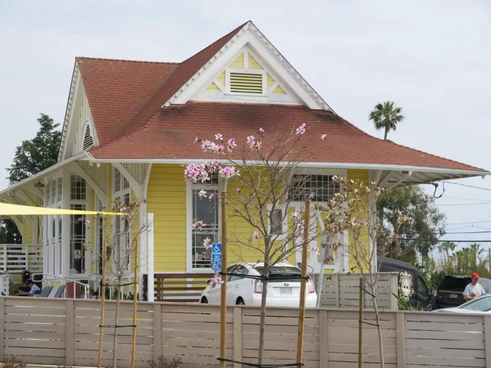 Pannikin Bakery and a blossoming tree. 