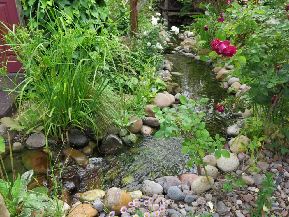 Pond at Neel's Nursery