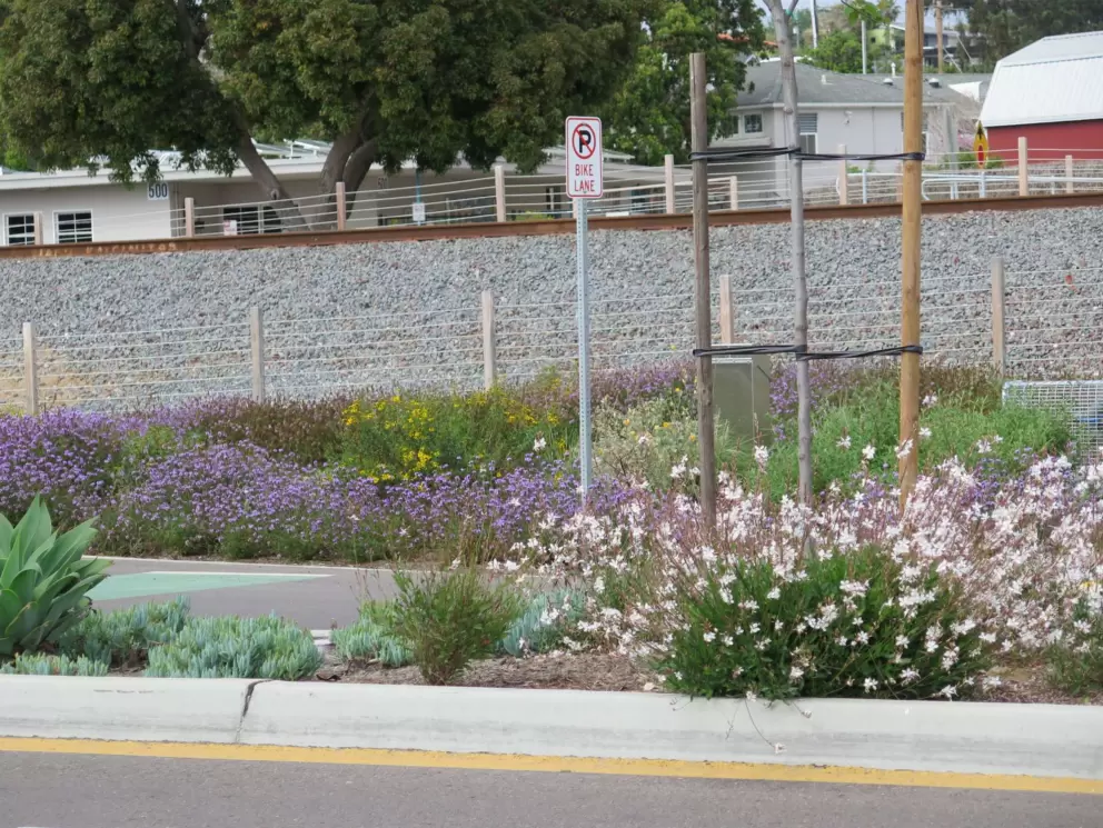 Flowers along Coast Highway 101. 