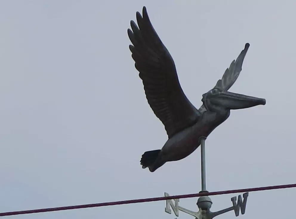 Pelican weathervane. 