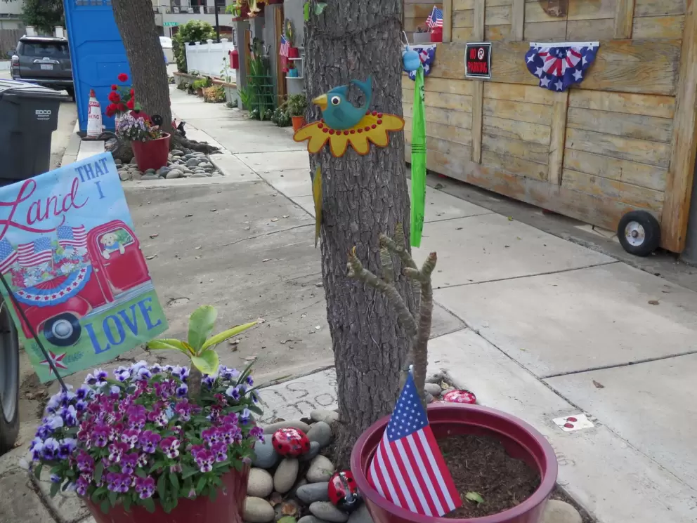 Eccentric garden at 224 El Portal Street. 